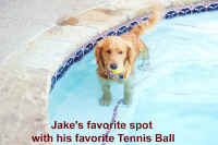 Jake in the pool_2.jpg (32589 bytes)